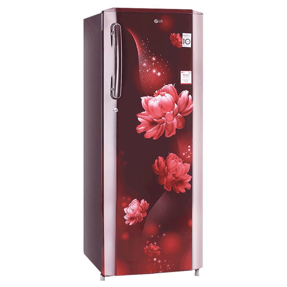 CHABIN Buy LG 261 Litres 3 Star Direct Cool Single Door Refrigerator with